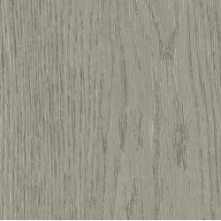 Tarkett ACCZENT EXCELLENCE 80 - Oak Tree BEIGE