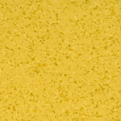 Affinity 4422 Mango