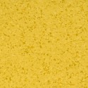 Affinity 4422 Mango
