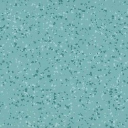 Taralay_Premium_Compact_Brazilia_Maceio