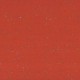 Taralay Premium Compact Indiana Moheli