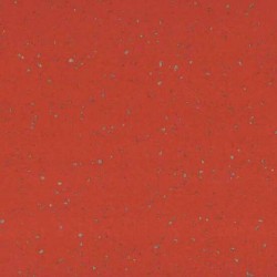 Taralay Premium Compact Indiana Moheli