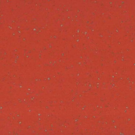 Taralay Premium Compact Indiana Moheli