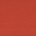 Taralay Premium Compact Indiana Moheli