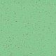 Taralay_Premium_Compact_Indiana_Lasia