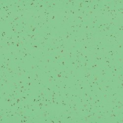 Taralay_Premium_Compact_Indiana_Lasia
