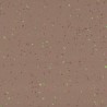 Taralay_Premium_Compact_Indiana_Nicobar