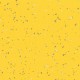 Taralay_Premium_Compact_Indiana_Tahaa