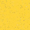 Taralay_Premium_Compact_Indiana_Tahaa