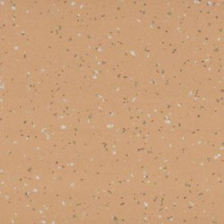 Taralay_Premium_Compact_Indiana_Rodrigues
