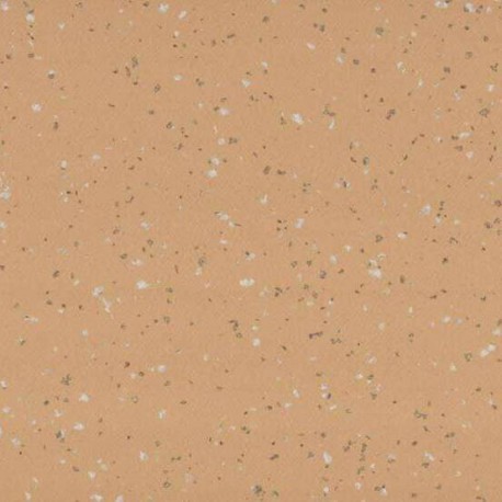 Taralay_Premium_Compact_Indiana_Rodrigues