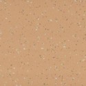 Taralay Premium Compact Indiana Rodrigues