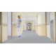 Taralay_Premium_Compact_Neopolis_Plaza