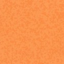 Taralay Premium Compact Osmoz Kumquat