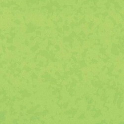 Taralay_Premium_Compact_Osmoz_Bamboo