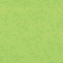 Taralay Premium Compact Osmoz Bamboo
