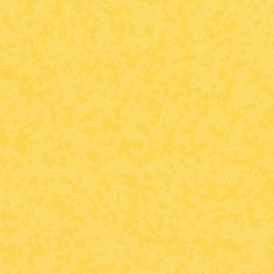 Taralay_Premium_Compact_Osmoz_Mimosa