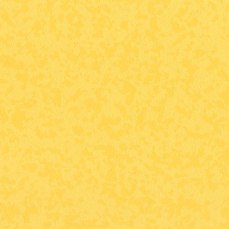 Taralay_Premium_Compact_Osmoz_Mimosa