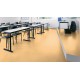 Gerflor_Mipolam_Accord_Dore
