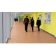 Gerflor_Mipolam_Accord_Cork