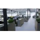 Gerflor_Mipolam_Elegance_Quetsche