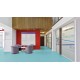 Gerflor_Mipolam_Elegance_Jambolan