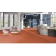 Mipolam Affinity Orange Sunlight