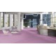 Mipolam Affinity Orchid