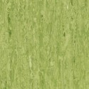 iQ Optima - Green 0861