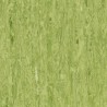 iQ Optima - Green 0861