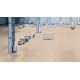 iQ Optima - Light Gold Beige 0247