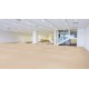 iQ Optima - Light Gold Beige 0247