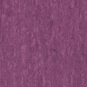 iQ Optima - Purple 0255