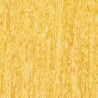 iQ Optima - Yellow 0824