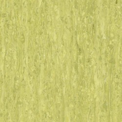 iQ Optima - Yellow Green 0254