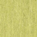 iQ Optima - Yellow Green 0254