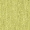 iQ Optima - Yellow Green 0254