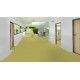 iQ Optima - Yellow Green 0254