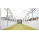 iQ Optima - Yellow Green 0254