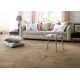 Creation 30 -  Amarante 0579