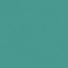 Ruby 70 Acoustic - Uno TURQUOISE