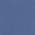 Tarasafe Compact Standard Royal Blue