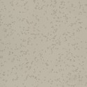 Taralay Milenium Compact Boree