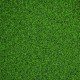 Grass Allround Green