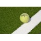 Tenis Grass