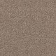 Maxima Tile 37