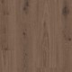 Elegance Rigid 55 - Delicate Oak BROWN