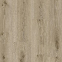 Essence Rigid 55 - Primary Oak Light Grey 120