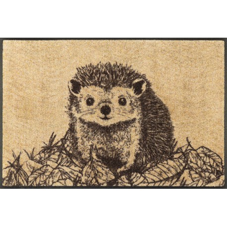 Wash+dry Hedgy