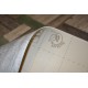 Iconik 260D Trend Pine BLUE-GREEN